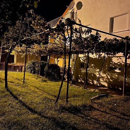 Entire Spacious Apartment With Free Parking Podgorica Esterno foto